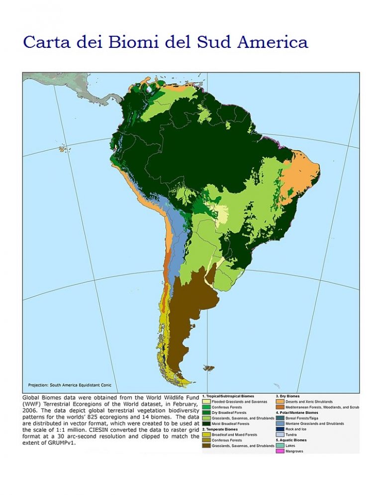 Bioma America Del Sud Vegetazion Ed Aree Ecologiche 2722