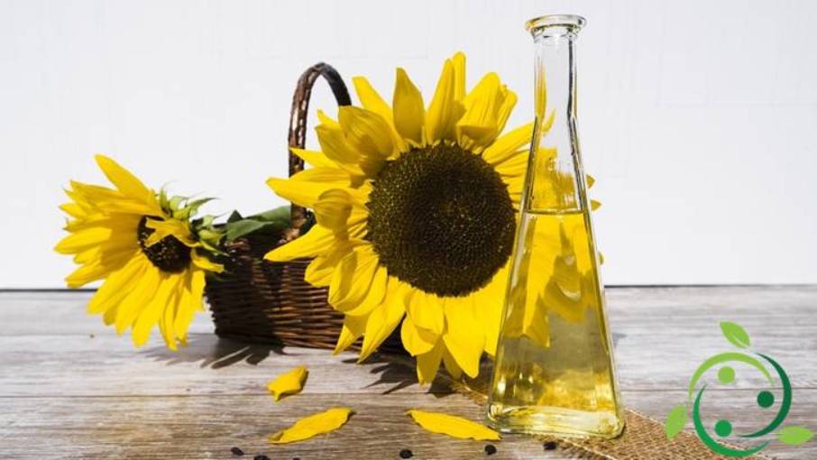 Aceite de semilla de girasol: características, propiedades ...