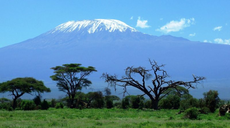 Kilimangiaro